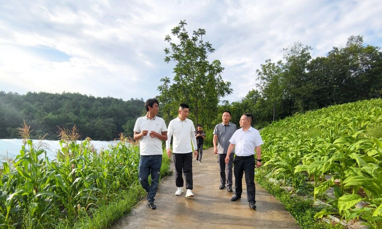 贵州黔赫堂集团：盘活闲置资产 赋能乡村振兴
