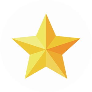 五星服务支持