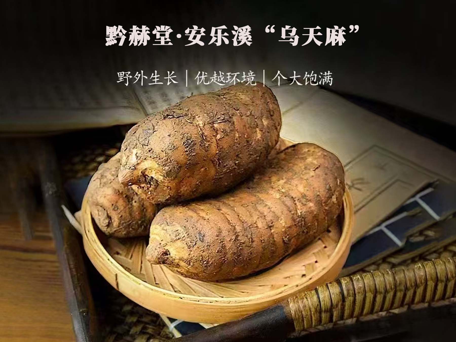 天麻种植产业