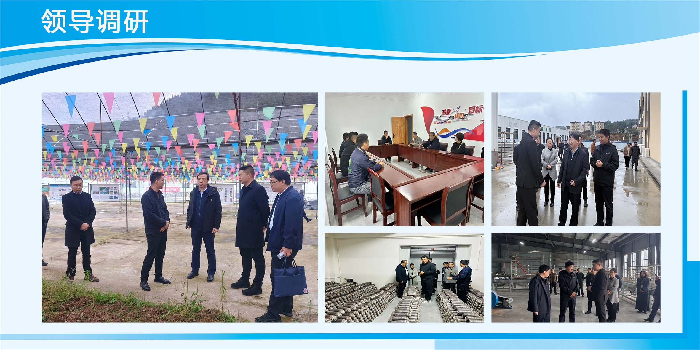 领导调研