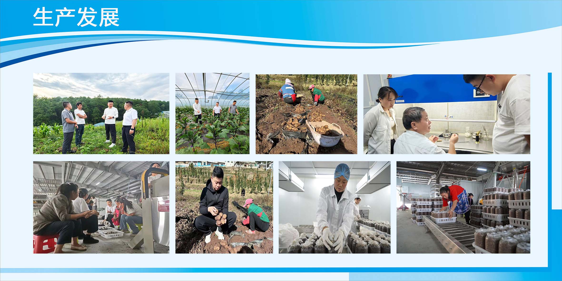生产发展