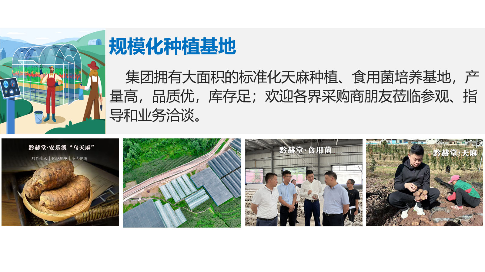 优势3.jpg